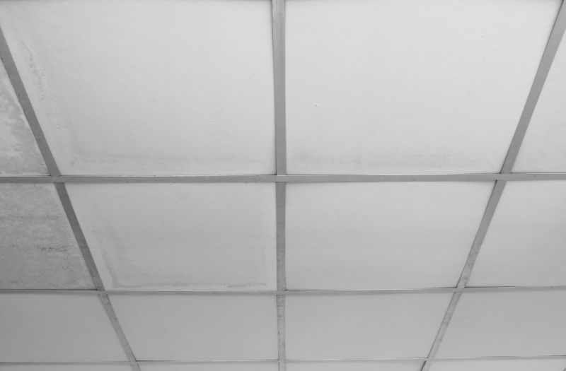 Repaired Tin Ceiling Detail